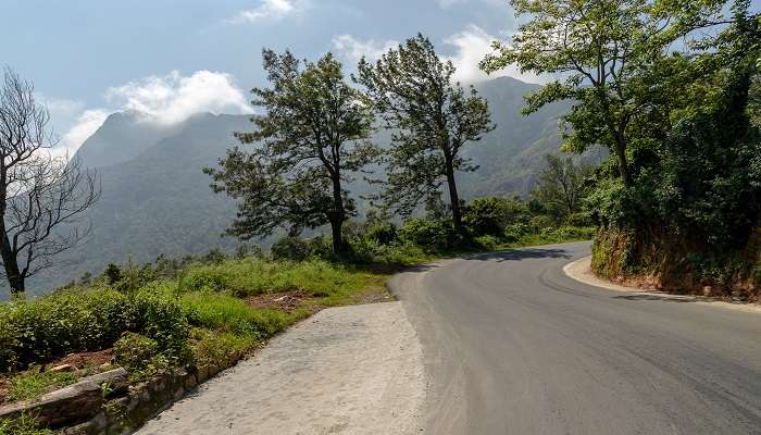 The panoramic view of from the mountain road towards Pooppara, during the Munnar to Thekkady road trip.