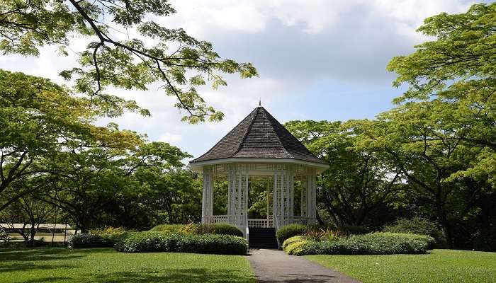 Profitez de la splendeur naturelle des jardins botaniques de Singapour