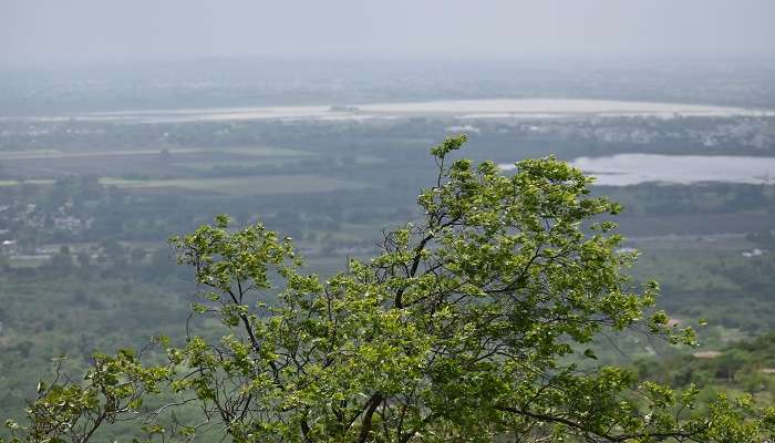 Scenic views from Ralamandal Sanctuary, a must-visit during trekking near Indore.