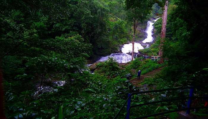 Water gushing down the magnificent Iruppu Falls