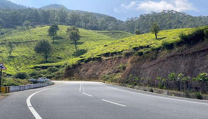 The way from Munnar to Thekkady.