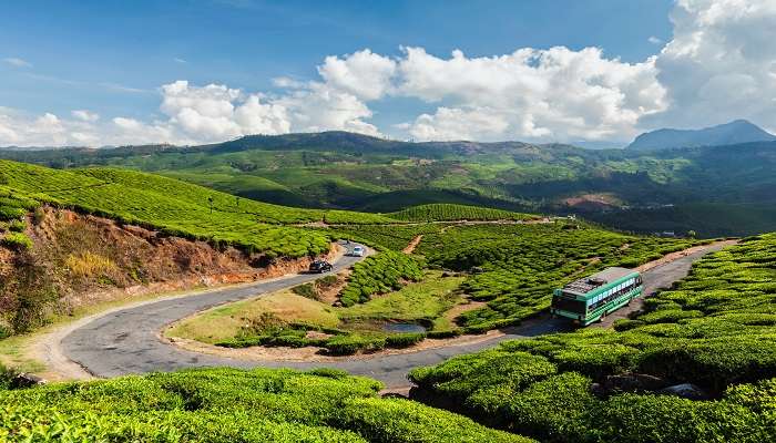 Route For Cochin To Munnar Road Trip
