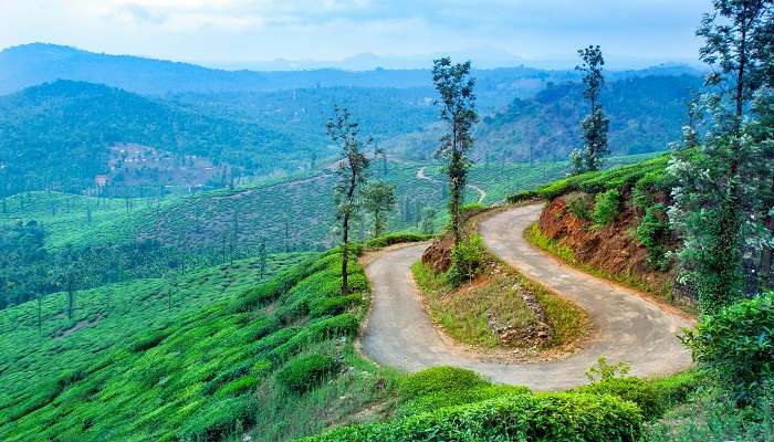 Chambra peak, a view worth experiencing during the Ooty to Wayanad road trip