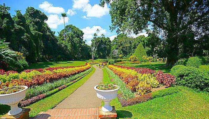 Royal Botanic Gardens is one of the scenic places in Carlton Gardens