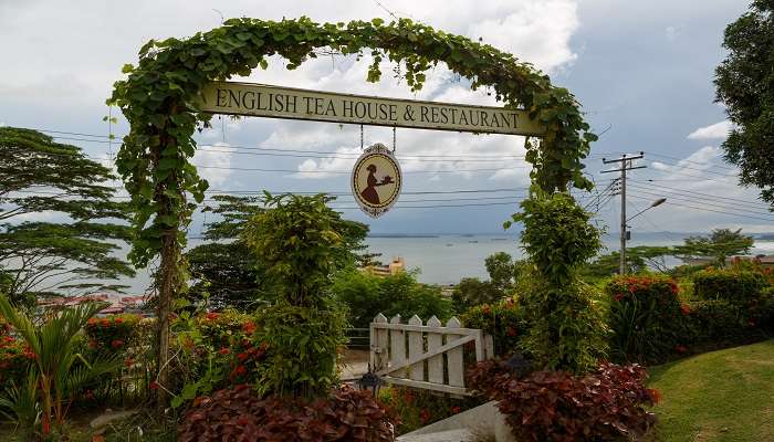 Sabah Tea Garden, Explore cette magnifique endroit lors de voytre visite de Kota Kinabalu