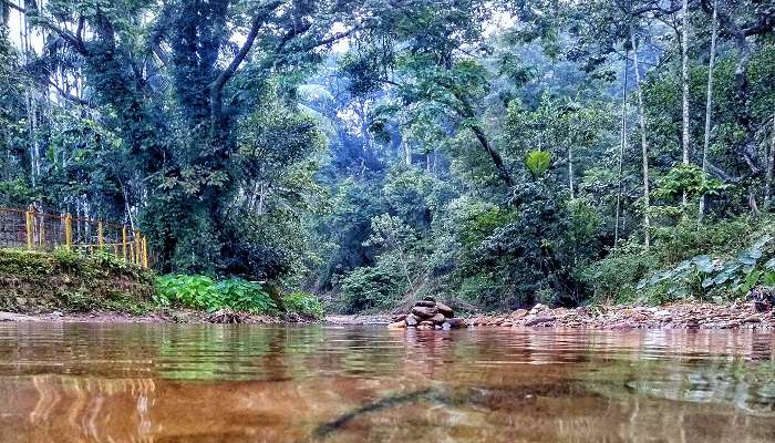 River flowing in Subramanya.