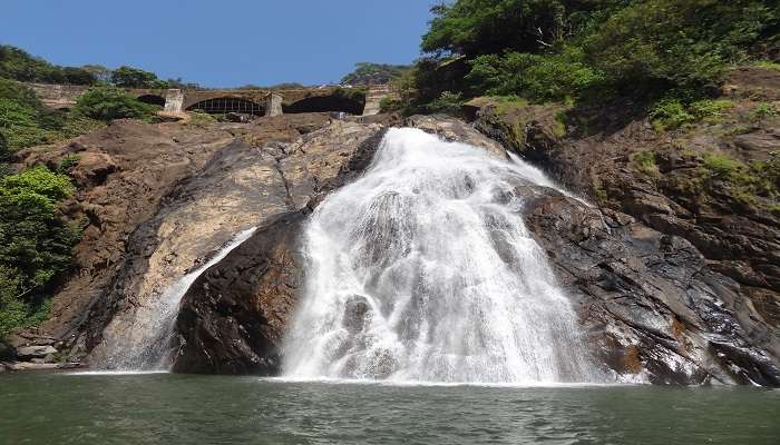 The idyllic scenery of Bhagwan Mahaveer Sanctuary located along the Sanguem trek, is the best expedition while trekking near Goa.