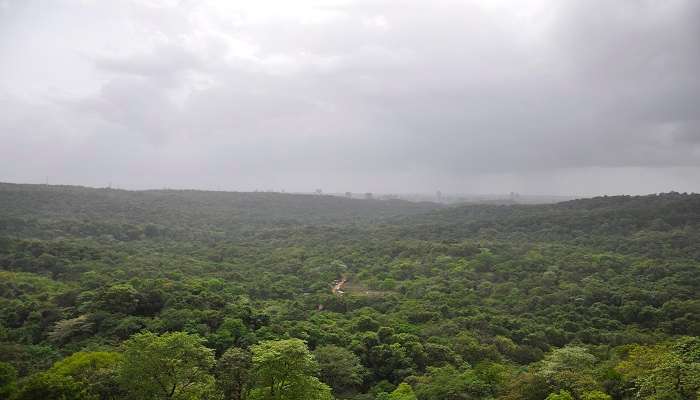 Taman Sanjay Gandhi dilihat dari gua Kanheri