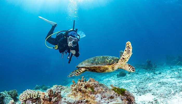 Scuba diving is a must-try experience at Dolphin Resort Havelock Island. 