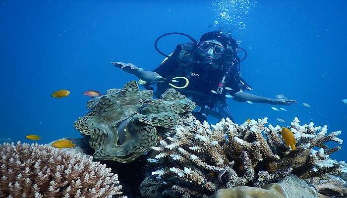  Polhena Beach offers an opportunity for scuba diving as well in the deeper area