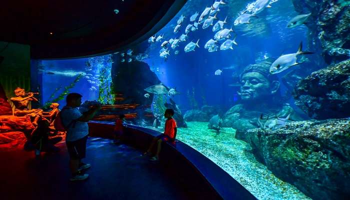 The interior view of Sea Life Bangkok Ocean World Aquarium.
