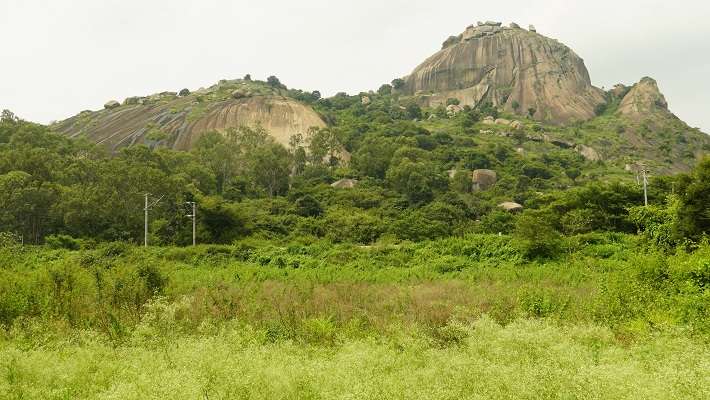 The scenic beauty of the lone standing hill, Siddara Betta