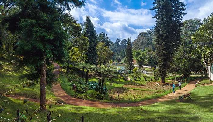 The panoramic vista of Sim’s Park, a must-visit destination during the Ooty to Kodaikanal road trip.