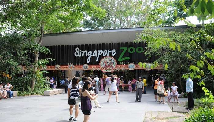Places to Visit in Singapore With Friends