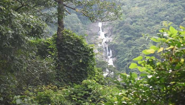 A majestic view of Siruvani Falls