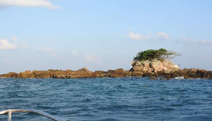 Snake Island Andaman