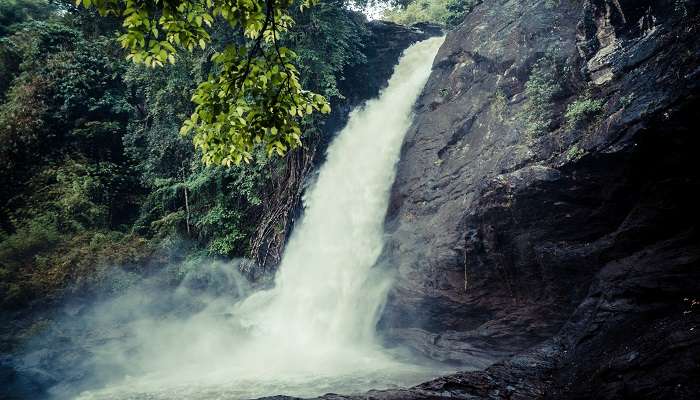 Stream of water falling from the beautiful Soochipara Falls, a popular offbeat places in Wayanad.