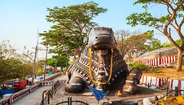 The stone sculpture of Nandi, the sacred bull, at Chamundeshwari Temple, symbolising devotion and guardianship. 
