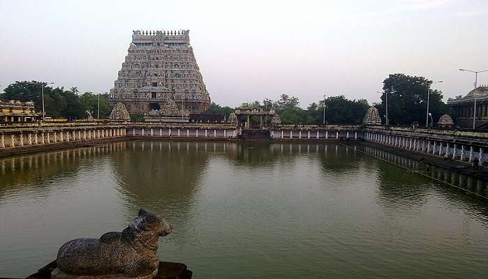   Kuil Sri Govindaraja Swami adalah salah satu tempat wisata yang paling banyak dikunjungi di dekat Tirupati dalam jarak 100 km