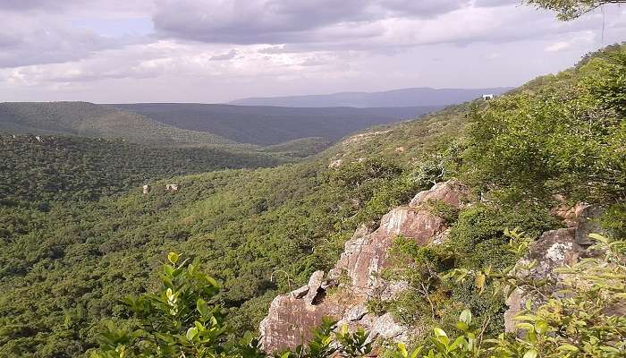 Taman Nasional Sri Venkateswara adalah salah satu dari banyak tempat untuk dikunjungi di dekat Tirupati yang berjarak 50 km