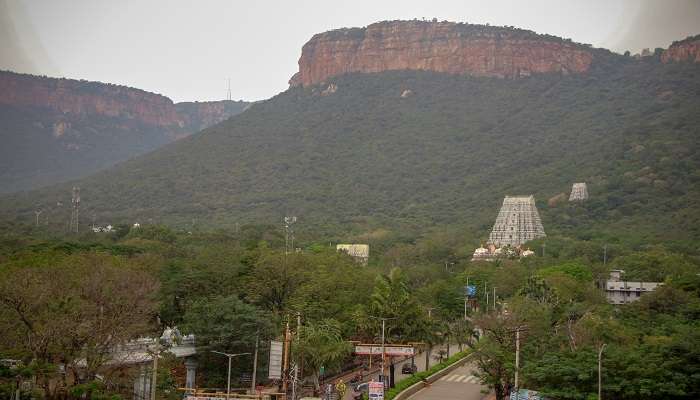 Stunning view of Sri Venkateswara Swamy Vaari Temple surrounded by greenery against striking mountains in the backdrop.