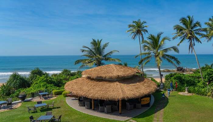 Various stays at the haven in Sri Lanka