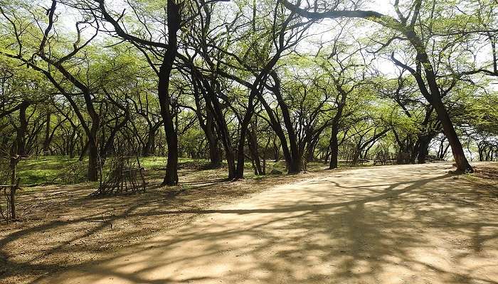 Sukhna Wildlife Sanctuary is among the top offbeat places near Chandigarh