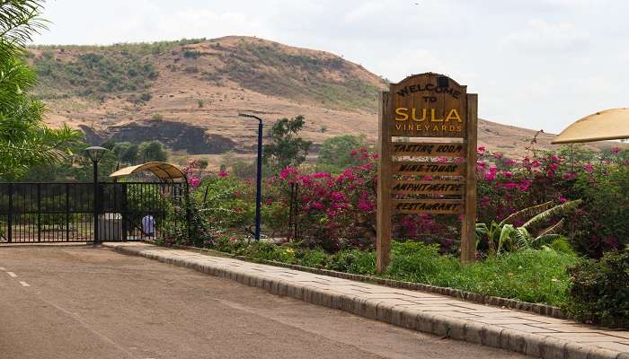 A majestic view of Sula Vineyards