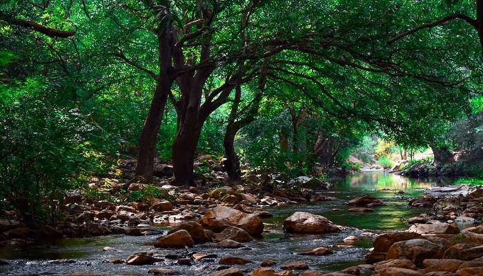 Salah satu tempat untuk dikunjungi di dekat Tirupati, Air Terjun Tada adalah tempat kedamaian dan peremajaan bagi wisatawan