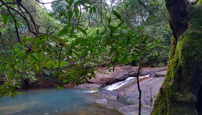 Discover serenity at Tambdi Surla Waterfall, one of the famous waterfalls in South Goa.