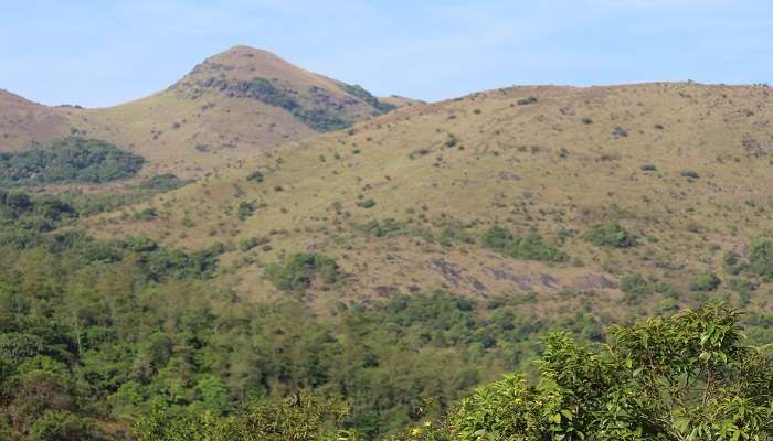 Thadiyandamol peak, one of the offbeat places in Coorg