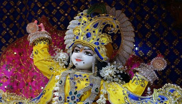 The image of Lord Krishna diety