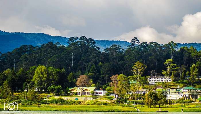 The hills of highlands, one of the best places to visit in Kandy for couples