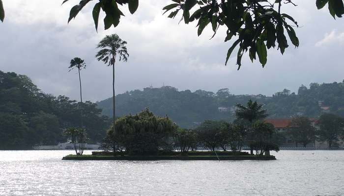 Popham’s Arboretum, The stunning view of Kandy Lake in Sri Lanka.
