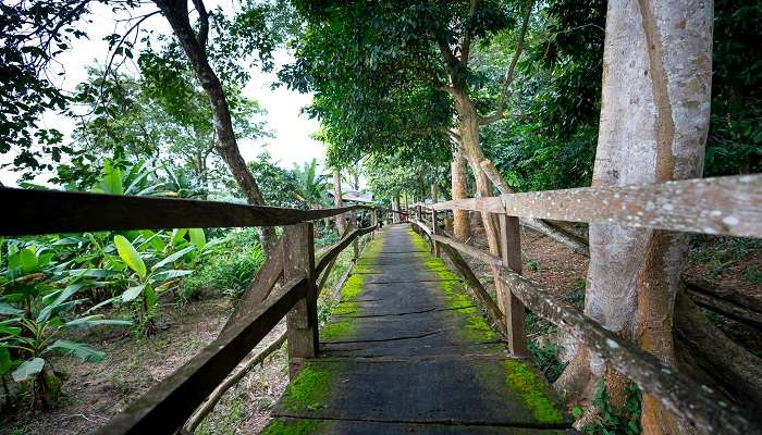 The wooden bridge in Brief Garden by Bevis Bawa