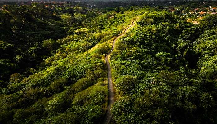 Ubud Campuhan Ridge walk inviting you to unwind amidst nature's embrace