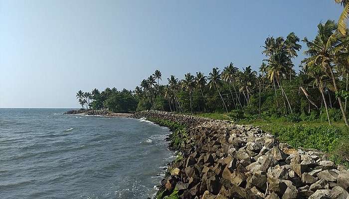  Thirumullavaram Beach and the shore covered with coconut trees