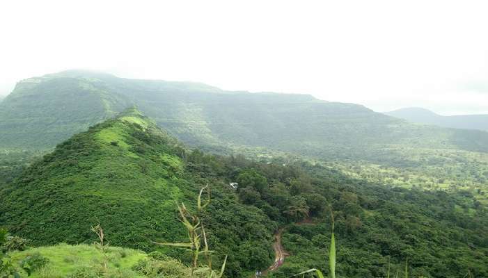 A beautiful view from Tikona Fort, displaying the amazing landscapes for trekking near Lonavala.