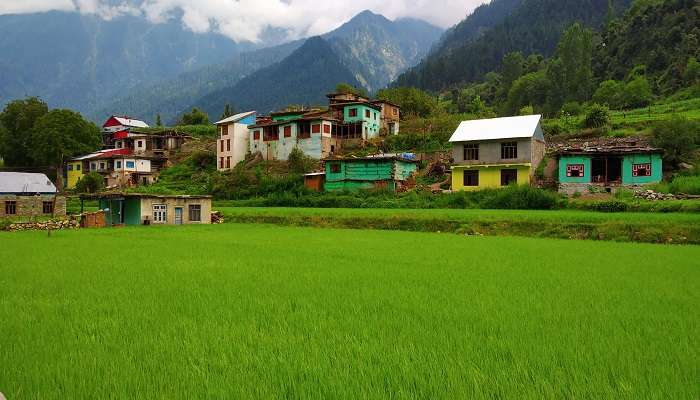 Cottages and homes near Sinthan Top Kashmir