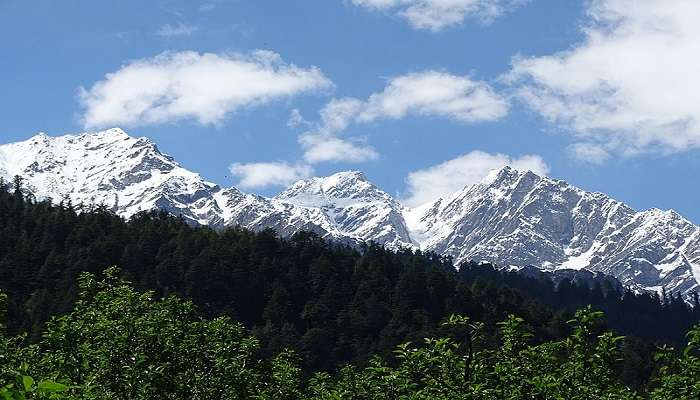 The mountains of Manali are covered with snow inviting a wide range of snow adventure activities. 