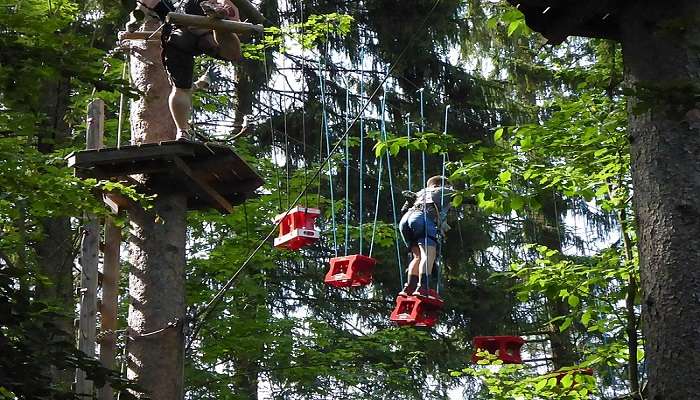 Enjoy the Treetop Challenge Adventure Park while visiting Currumbin Wildlife Sanctuary