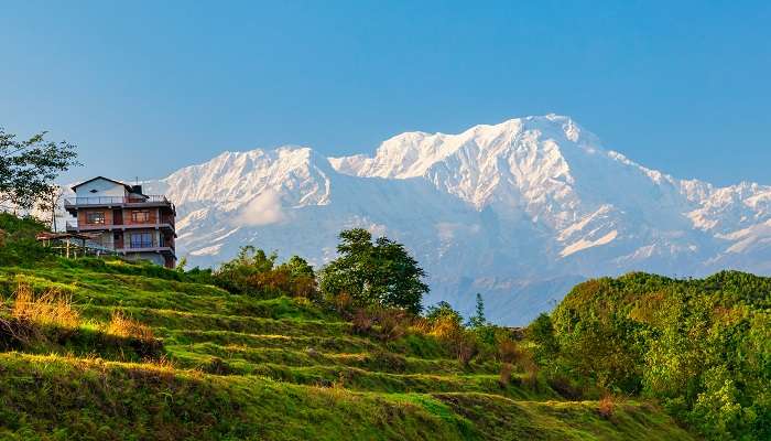 Trekking in Pokhara offers you a panoramic view of the Himalayas mountain range