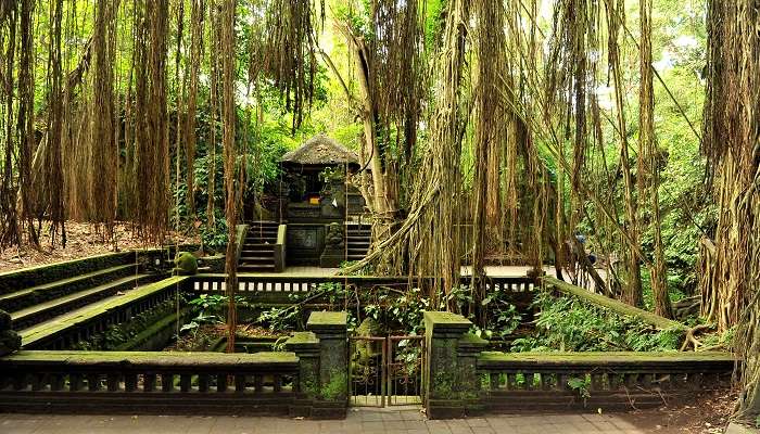 Explore the enchanting Ubud Monkey Forest