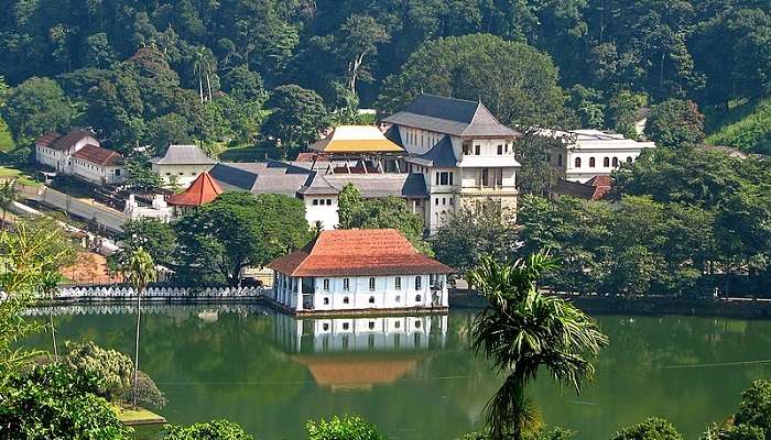 Udawatta Kele Sanctuary Kandy