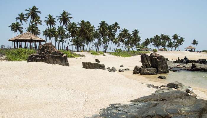 A delightful view of Udupi