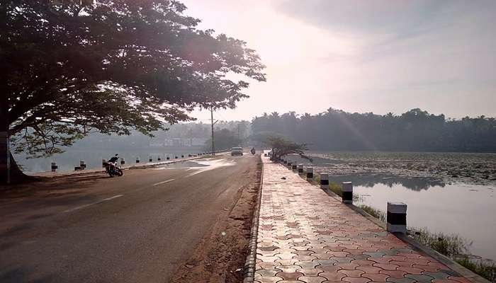Road passing through Vellayani Lake