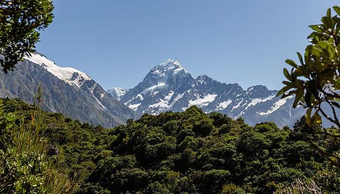 An image of Mount Cook viewed from Sealy Tarns