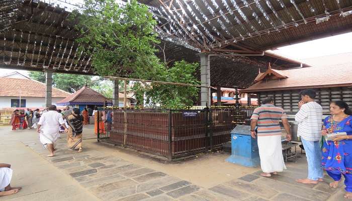 View of the inside surroundings of Chottanikkara Temple