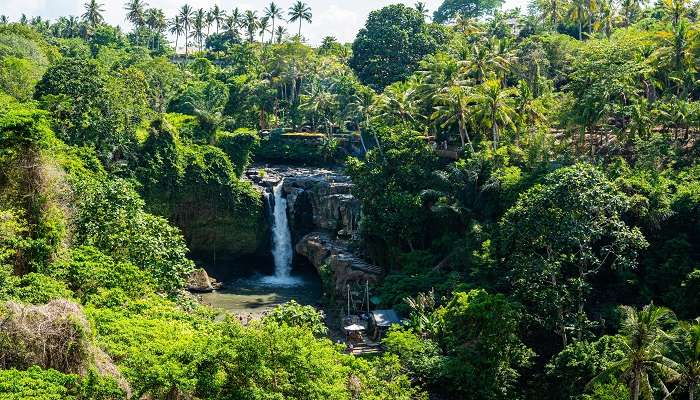 Tegenungan Waterfall offers the perfect scenic retreat to all visitors