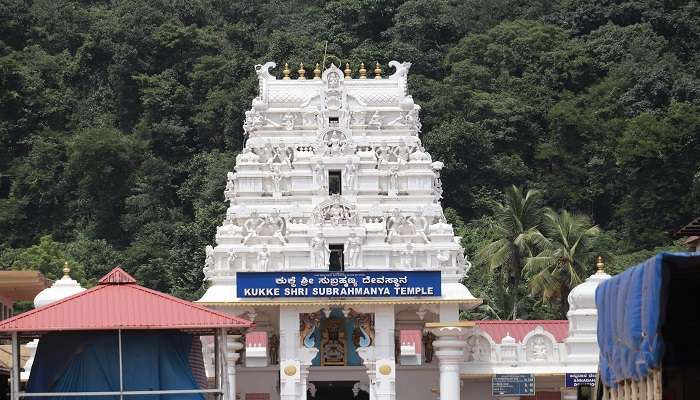 Kukke Subramanya Temple is famous among devotees seeking to get rid of Sarpa Dosha